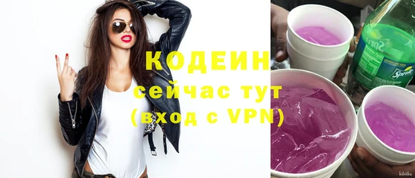 гашик Верея