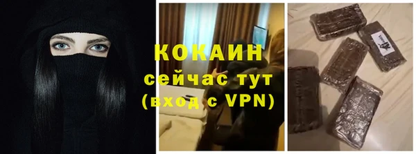 гашик Верея