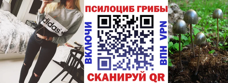 мега зеркало  Городище  Псилоцибиновые грибы ЛСД 
