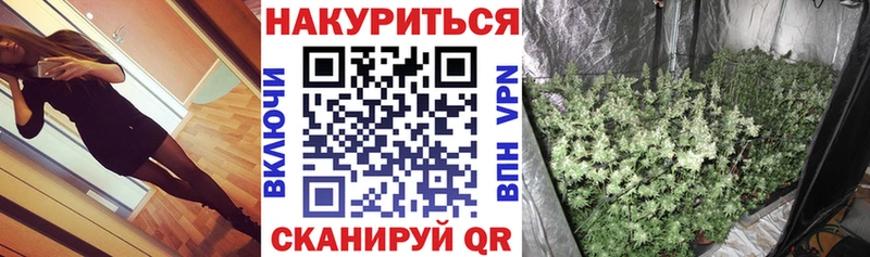 Шишки марихуана AK-47  закладка  Городище 